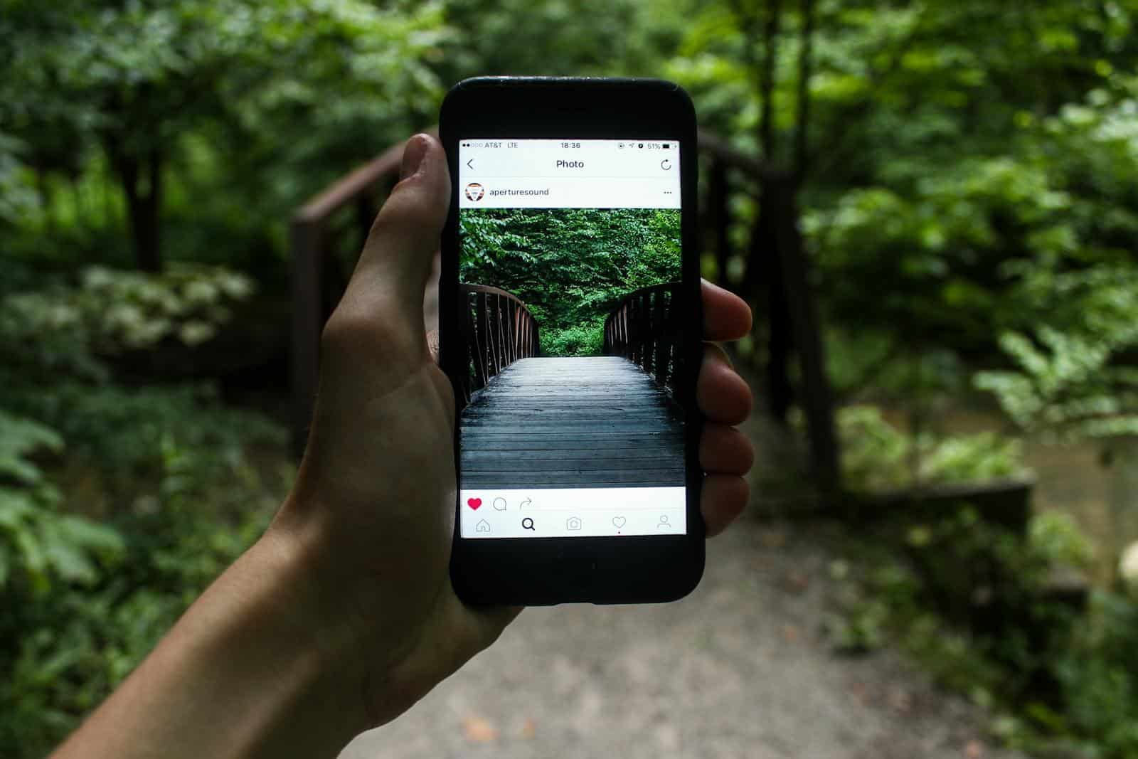 A hand holds a smartphone capturing a forest bridge in a natural setting.