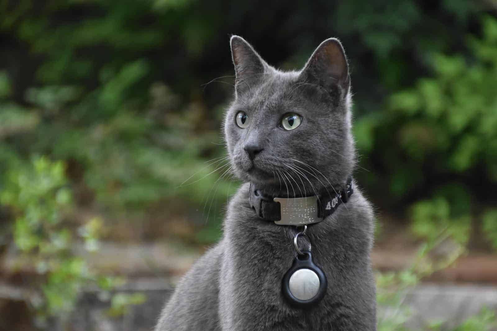 Airtag Pet Collar