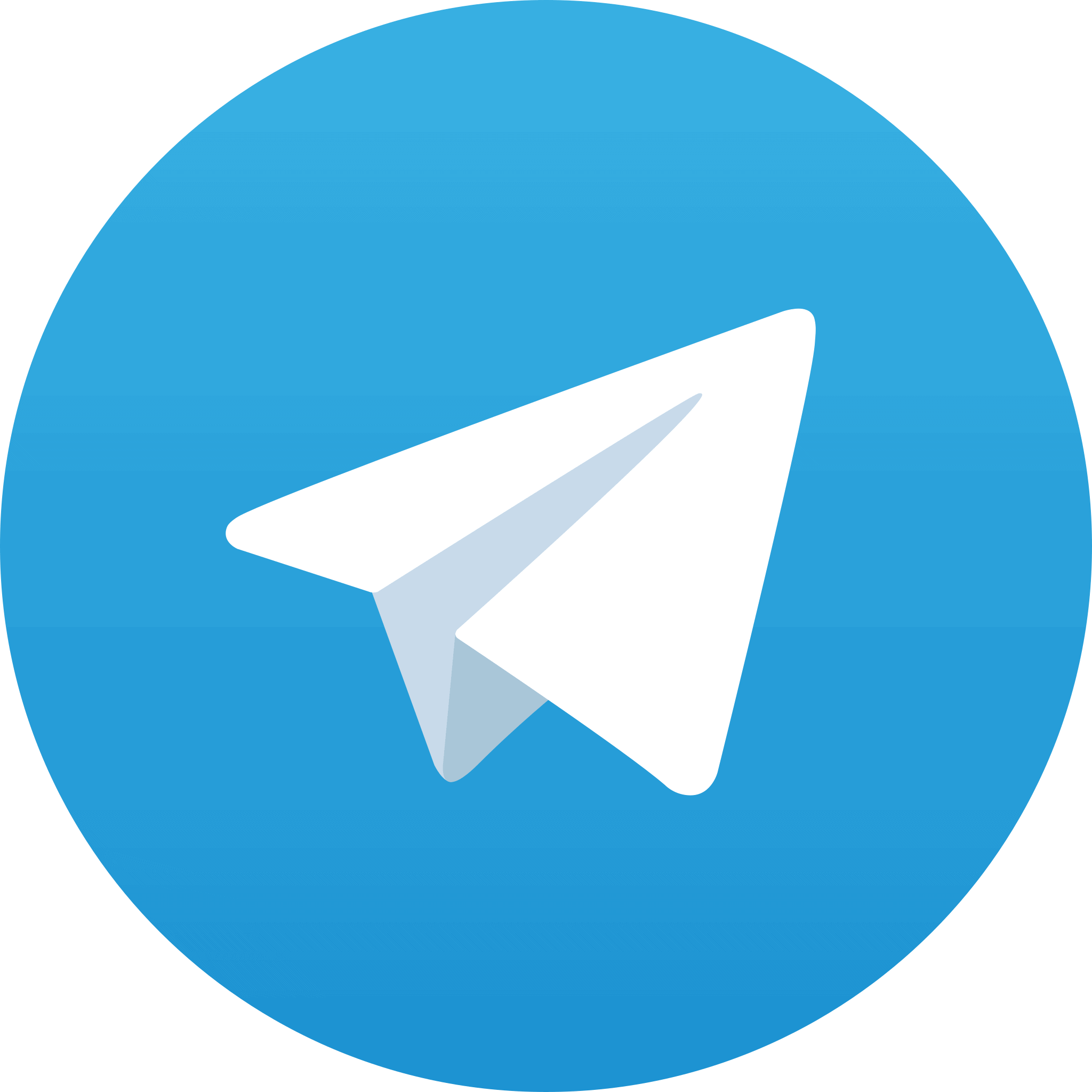 Telegram Logo