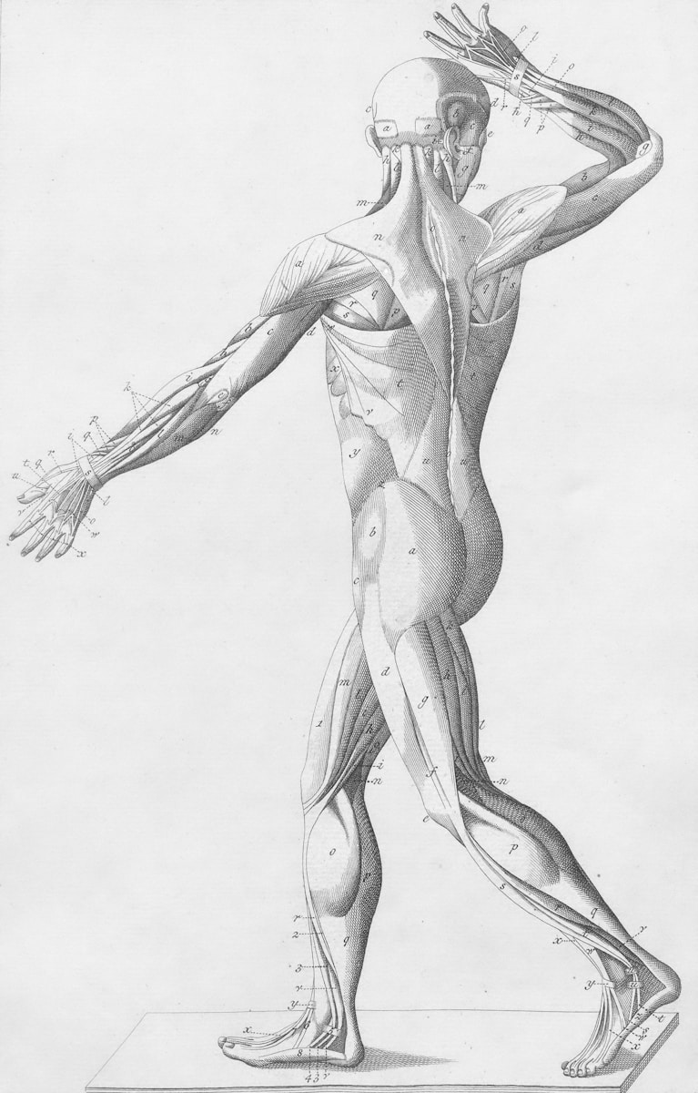 Male Figure