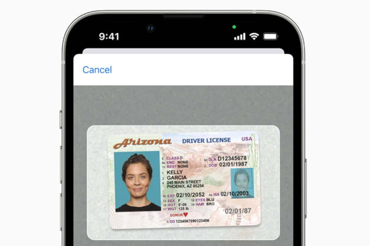 iPhone Driver's License