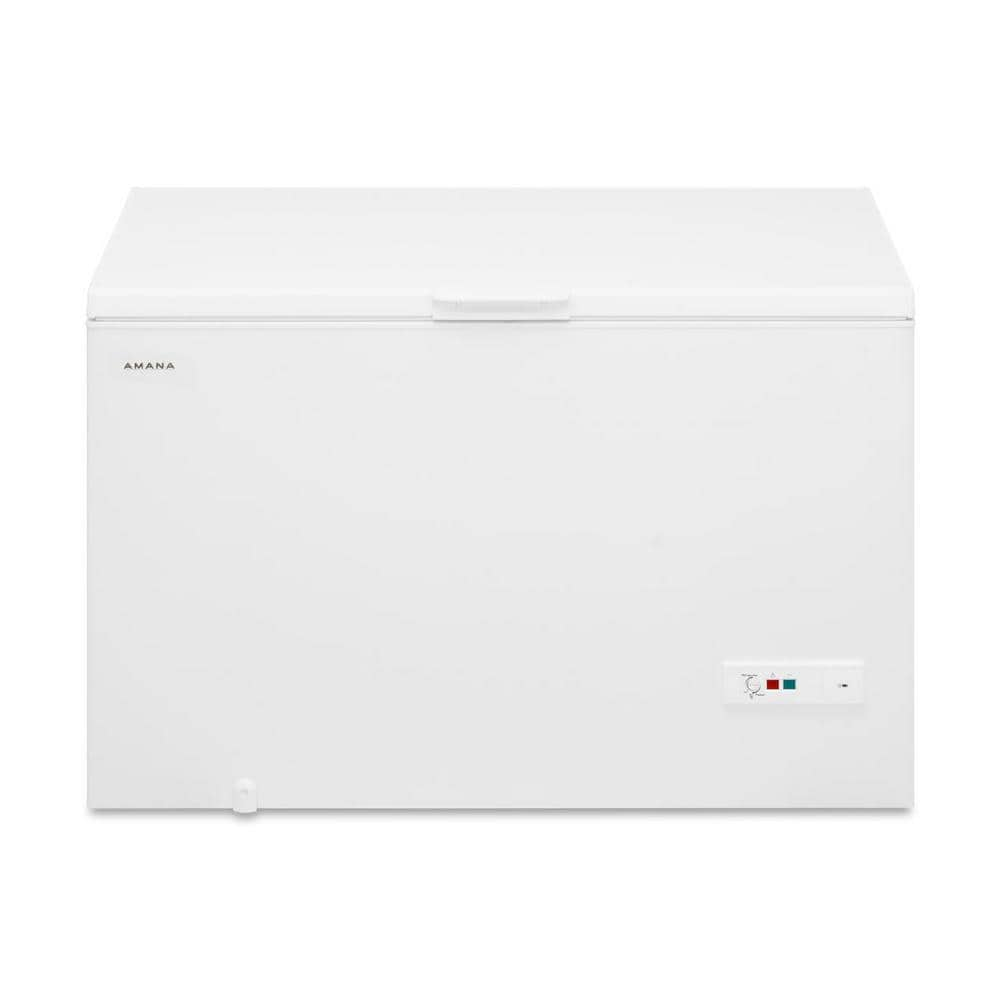 Amana Deep Freezer