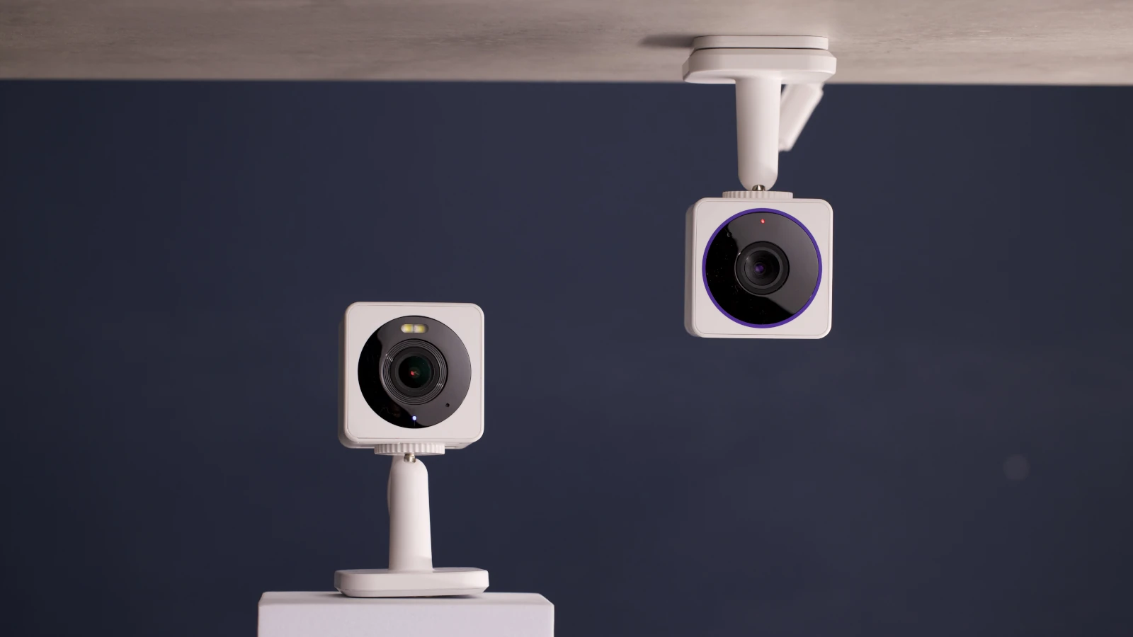 Wyze Cameras